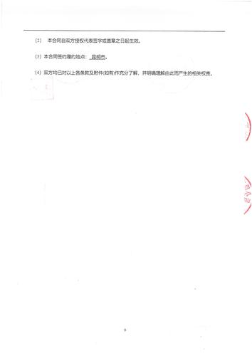 年报项目合同（已盖章签字）-挂官网用_页面_09
